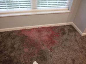 Before & After Carpet Stain removal in Columbus, IN (1)