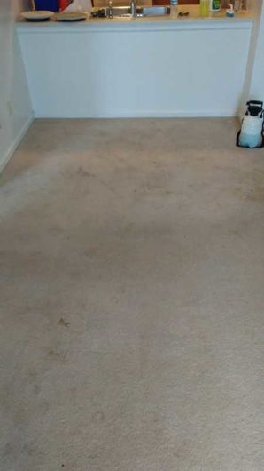Before & After Carpet Cleaning in Columbus, OH (1)