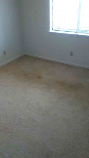 Before & After Carpet Cleaning in Columbus, OH (2)