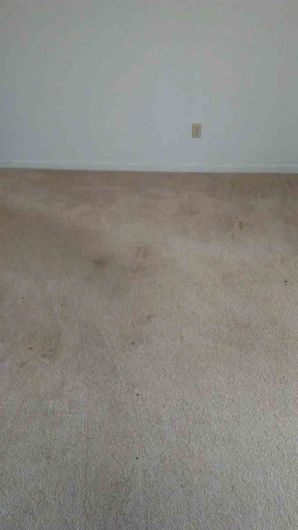 Before & After Carpet Cleaning in Columbus, OH (3)