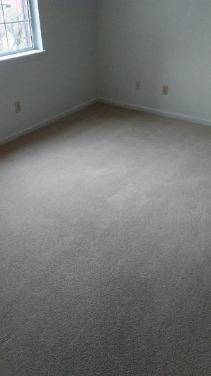 Before & After Carpet Cleaning in Columbus, OH (4)
