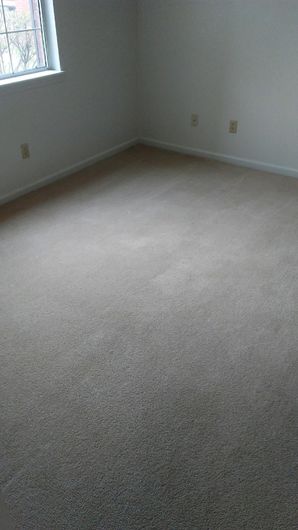 Before & After Carpet Cleaning in Columbus, OH (5)