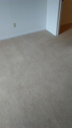 Before & After Carpet Cleaning in Columbus, OH (6)