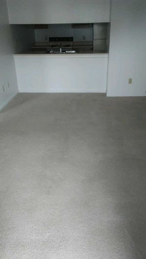 Before & After Carpet Cleaning in Columbus, OH (7)