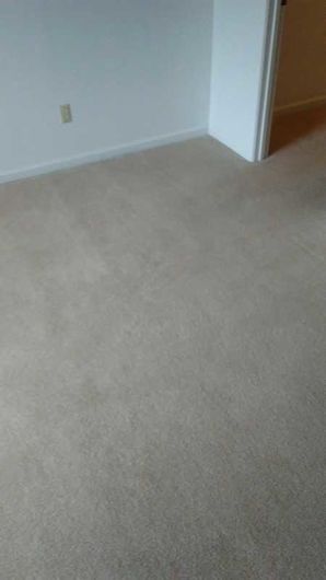 Before & After Carpet Cleaning in Columbus, OH (8)