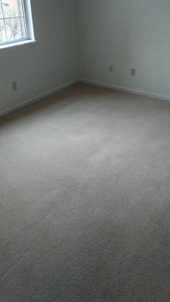 Before & After Carpet Cleaning in Columbus, OH (9)